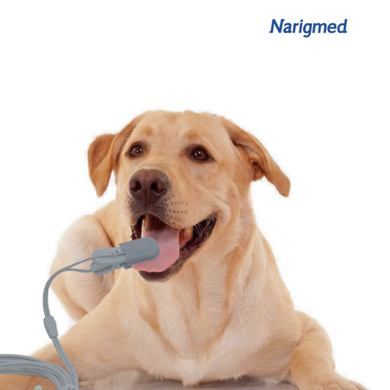 3 NOSZ-10 Special Accessories For Pet Tongue 2